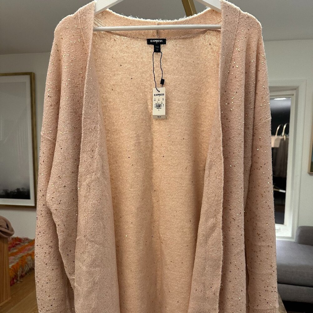 Express Sequin Sweater